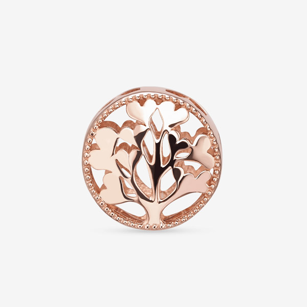 14k,18k  ñ״ó йи Ʈ  Ʈ*NEW