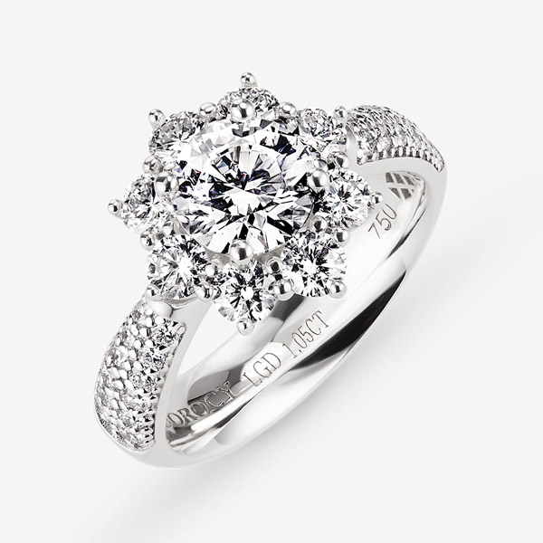14k,18k ξ   ̾Ƹ 1ĳ (  2CT)